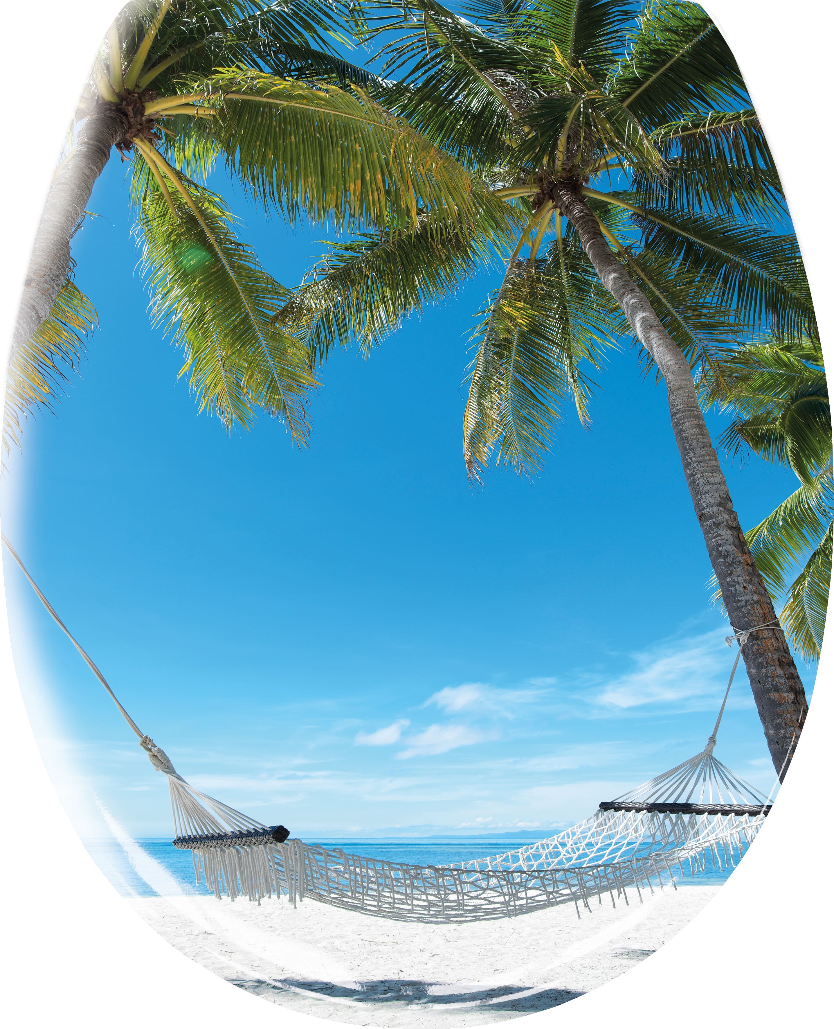 Hängematte zwischen Palmen am Strand mit blauem Himmel und Meer im Hintergrund. Perfekt für entspannte Momente.